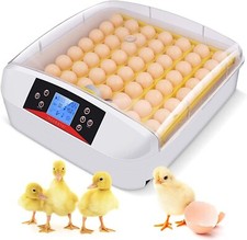Incubatrice automatica per