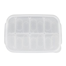 Scatola Incubazione per