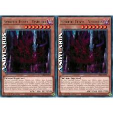 SPIRITO TENYI - VISHUDA 2x • (Tenyi Spirit - Vishuda) • Rara • CRBR IT054 • 1Ed