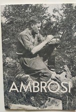 Elmo Ambrosi: quarant’anni di pittura. 1980