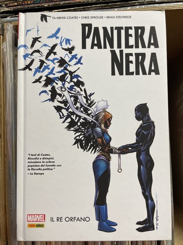 Pantera nera re - nera, il