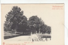 c.ill.   VALLOMBROSA viale per TOSI  non viaggiata     (A077)
