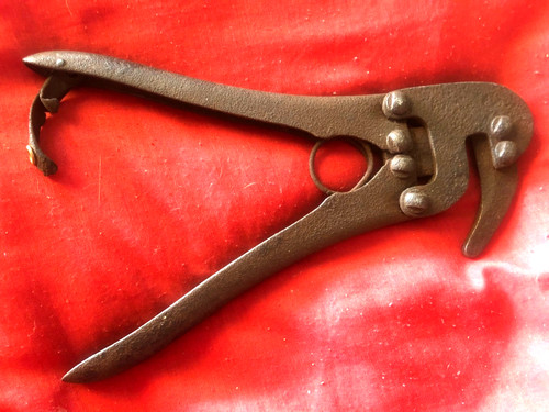 Taglia reticolati vogliotti - taglia,