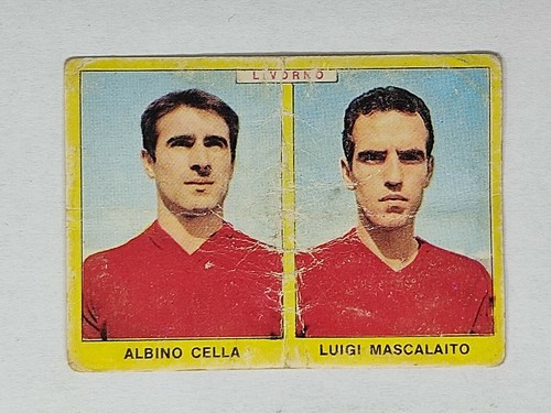 Figurina calciatori panini - figurina,