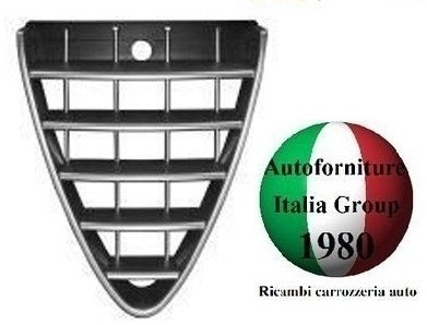 Griglia radiatore scudo - griglia,