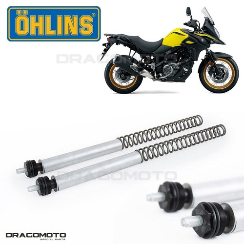 Suzuki 650 strom - dl,