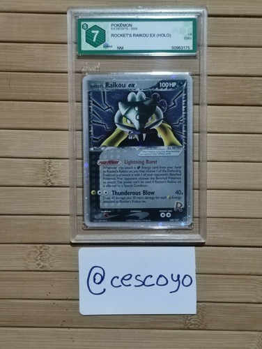 Rocket raikou pokémon - rocket's,
