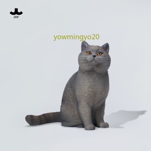 Statua gattino pelo corto