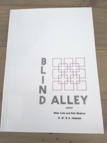 Blind alley youth - alley,