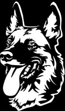 Adesivo MALINOIS - adesivo
