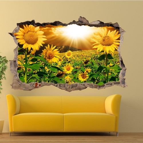 Sunshine sunflower campo - sunflower,