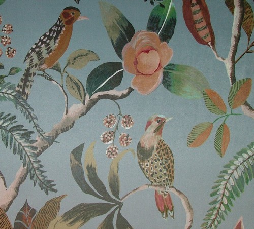 Coloniale uccelli ardesia - coloniale,