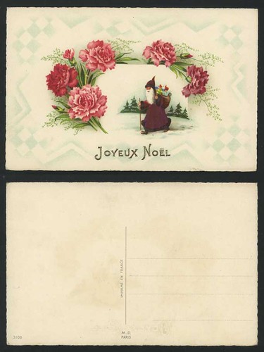 Santa claus carnation - santa,