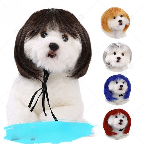 Pet bangs parrucca bob - parrucca, taglio