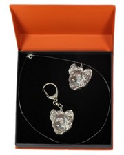 Papillon - Set - Il Cane Nella