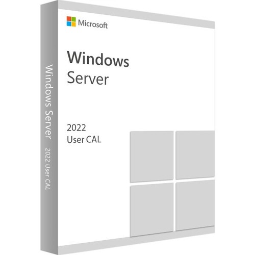 Windows server 2022 user - windows,