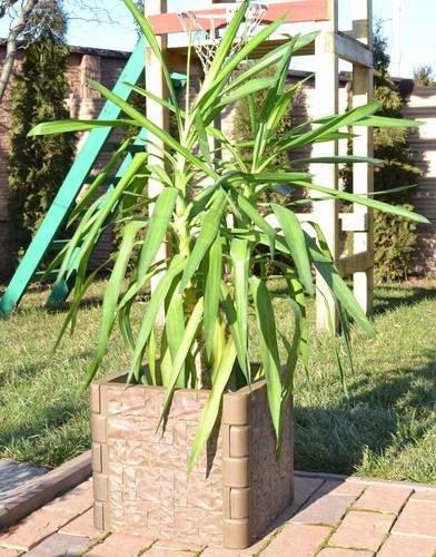 Stampo recinzione pilastro - stampo,