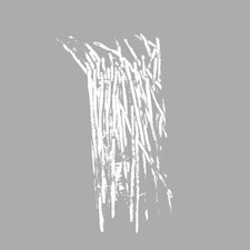 BOOTBLACKS Part Time Punks Sessions / Narrowed CD Digipack 2018