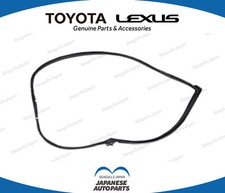 Striscia meteorologica porta