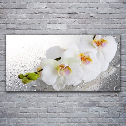 Moderni astratti 120x60 quadro - moderni,
