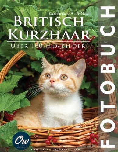 Britisch kurzhaar fotobuch - britisch,