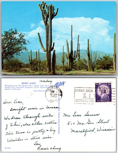 Cartolina desert giant cactus - giant,