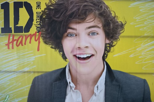 Harry styles a3 poster - a3,