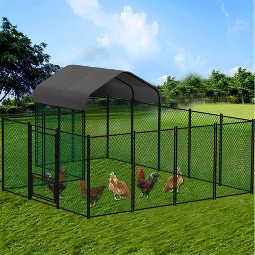 Gabbia per pollaio extra large