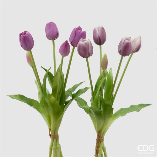 Tulipano gomm olis mazzo - olis,
