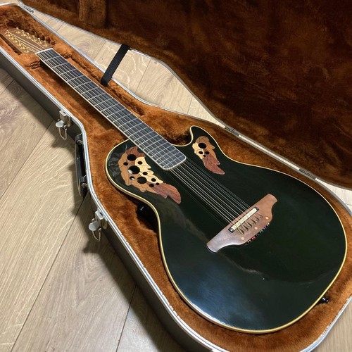 Chitarra elettrica acustica