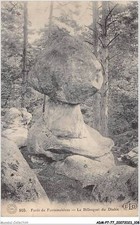 ADMP7-77-0592 - Foresta Di