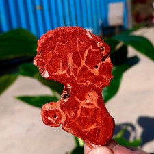 Campioni minerali marini