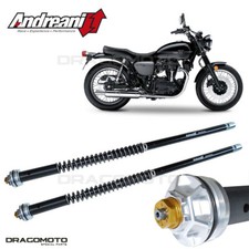 KAWASAKI W 800 2019-2021
