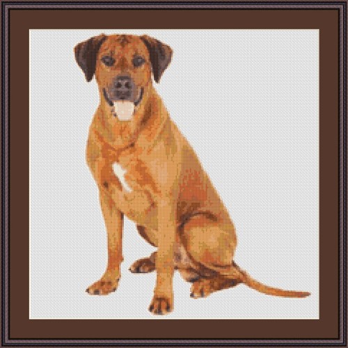 Kit punto croce cane rhodesian - punto,