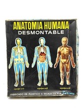 Serima Anatomia Humana - 1:5 -  The Human Body Kit 1 Skeleton New Old Stock # RD