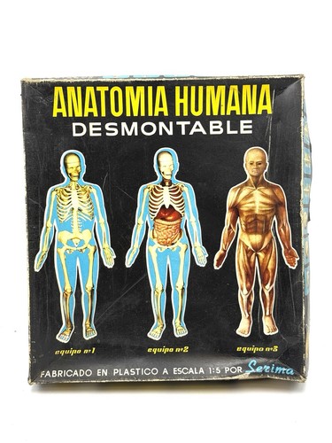Serima anatomia humana - serima,