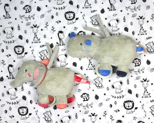 Nuovo pusblu 1 - pusblu,