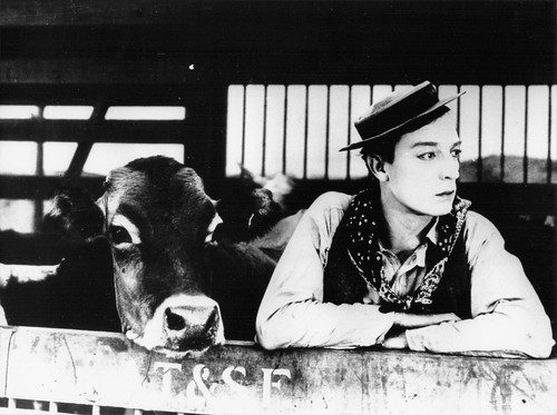 Buster keaton photo - ,