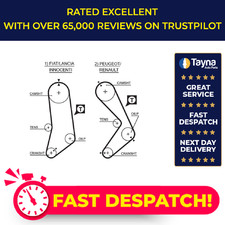 Cinghia distribuzione adatta