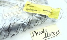 gasket ape 50 piaggio 646255!