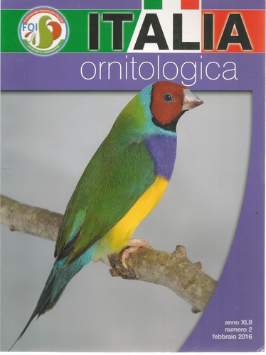 Italia ornitologica febbraio - -,