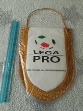 FOOTBALL football pennant