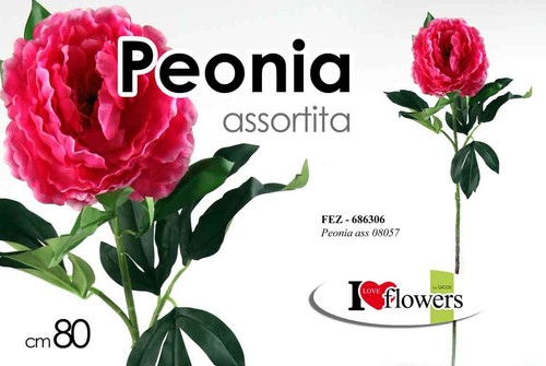 Peonia con stelo fiore - con, 80
