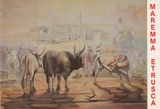 MAREMMA ETRUSCA - Vista dal Pittore G. Degli Effetti