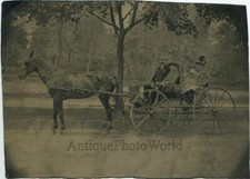 Famiglia On Great Cavallo