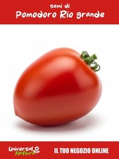 50 🍅 Semi di Pomodoro Roma