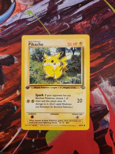 Pokémon giungla edizione - giungla, 1°