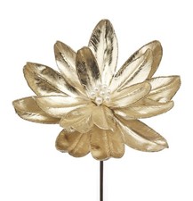 L'Oca Nera - Il Giardino Delle