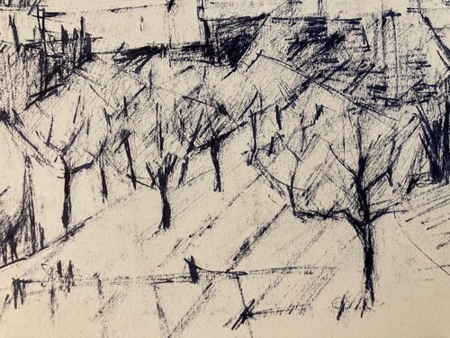 Bella disegno carboncino - disegno,