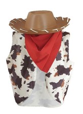 Costume vestito fantasia